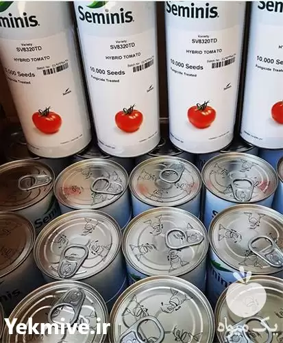فروش بذر گوجه فرنگی سمینیس در هرمز در گروه خرید و فروش بذر گوجه در یکمیوه -عکس1
