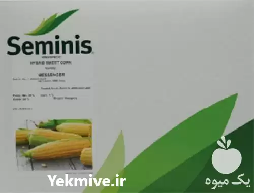فروش قیمت بذر ذرت مدل مسنجر در کرمان  در گروه خرید و فروش بذر ذرت در یکمیوه -عکس1