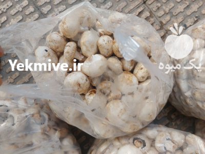 قارچ دکمه ای اسلایس شده در تهران در گروه خرید و فروش قارچ در یکمیوه -عکس1