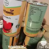 فروش استثنائی بذر گوجه فرنگی سانسید در کرمان  در گروه خرید و فروش بذر گوجه در یکمیوه