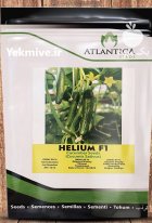 بذر خیار هیبرید هلیوم گلخانه ای در کرج در گروه خرید و فروش بذر خیار در یکمیوه