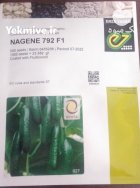 بذر خیار گلخانه ای ناگین انزازادن در کرج در گروه خرید و فروش بذر خیار در یکمیوه