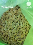 فروش هسته زردالو در گروه خرید و فروش آلو در یکمیوه