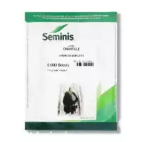 قیمت خرید بذر بادمجان دلمه شانتال در گروه خرید و فروش بذر بادمجان در یکمیوه