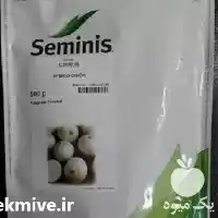قیمت خرید بذر پیاز سایروس در مشهد در گروه خرید و فروش بذر پیاز در یکمیوه