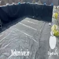 قیمت خرید عایق پلیمری استخر کشاورزی در اصفهان در گروه خرید و فروش استخر کشاورزی در یکمیوه
