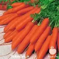 قیمت خرید بذر هویج ویلمورین پریستو در گروه خرید و فروش بذر هویج در یکمیوه
