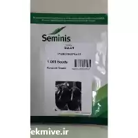 قیمت خرید بادمجان لامپی بلن در سنندج در گروه خرید و فروش بادمجان در یکمیوه