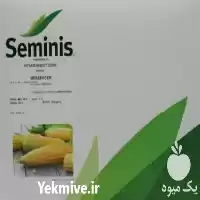 فروش قیمت بذر ذرت مدل مسنجر در کرمان  در گروه خرید و فروش بذر ذرت در یکمیوه