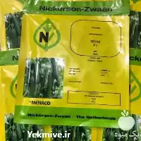 بذر خیار گلخانه ای کیهان فروش در گروه خرید و فروش بذر خیار در یکمیوه