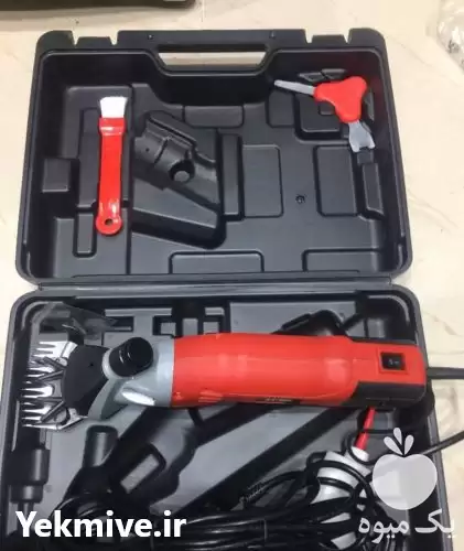 قیمت پشم چین گوسفند ارزان در گرگان در گروه گاو و گوسفند و میش و بز کهره گوساله در یکمیوه -عکس1