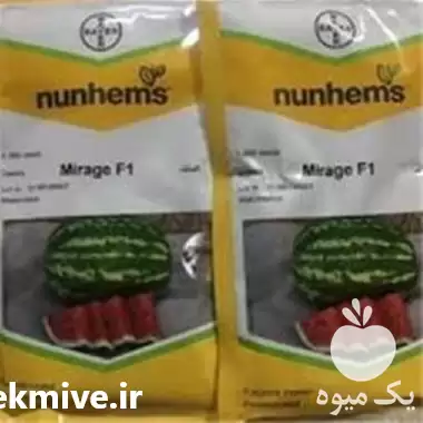 قیمت خرید بذر هندوانه میراژ مناسب در سنندج در گروه خرید و فروش بذر خیار در یکمیوه -عکس1