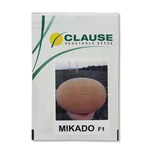 قیمت خرید عرضه بذر خربزه آناناسی در گرگان در گروه خرید و فروش بذر خربزه در یکمیوه -عکس1