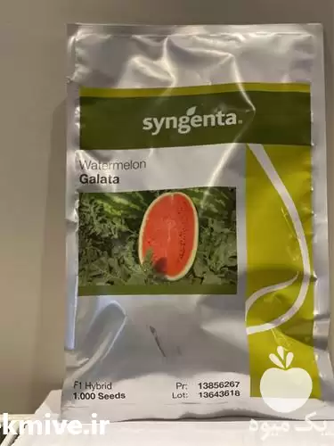 فروش بذر هندوانه با دارا بودن در بوشهر در گروه خرید و فروش بذر هندوانه در یکمیوه -عکس1