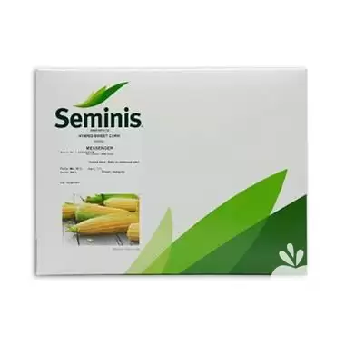 فروش قیمت خرید بذر ذرت مسنجر در بوشهر در گروه خرید و فروش بذر ذرت در یکمیوه -عکس1