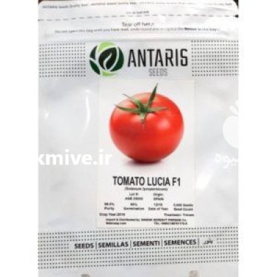 بذر گوجه فرنگی لوسیا در کرج در گروه خرید و فروش بذر گوجه در یکمیوه -عکس1