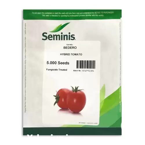 قیمت خرید عرضه بذر گوجه بدرو در تهران در گروه خرید و فروش بذر گوجه در یکمیوه -عکس1