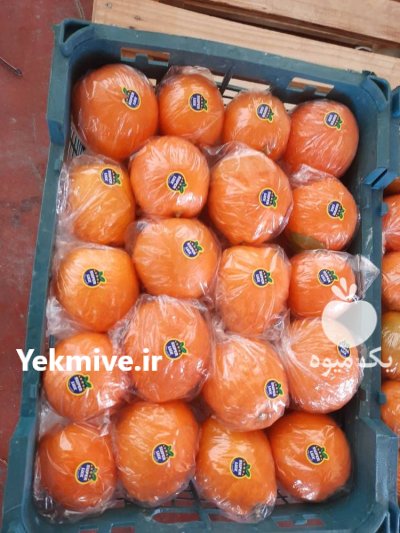 قیمت نارنج صادراتی در جهرم در داراب در گروه واردات و صادرات در یکمیوه -عکس1