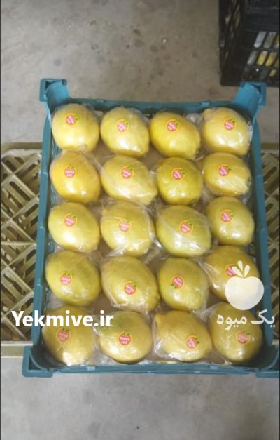 خرید لیمو سنگی صادرات مشخصات لیمو در گروه واردات و صادرات در یکمیوه -عکس1