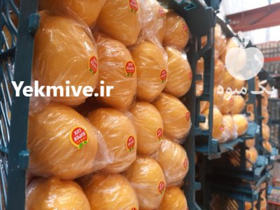 خرید لیمو سنگی صادرات مشخصات لیمو در گروه واردات و صادرات در یکمیوه -عکس2