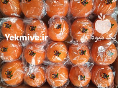 فروش عمده پرتقال صادراتی جنوب در شیراز در گروه خرید و فروش نارنگی در یکمیوه -عکس3