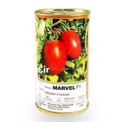 بذر گوجه مارول F 1 اسپانیا در کرج در گروه خرید و فروش بذر گوجه در یکمیوه -عکس1