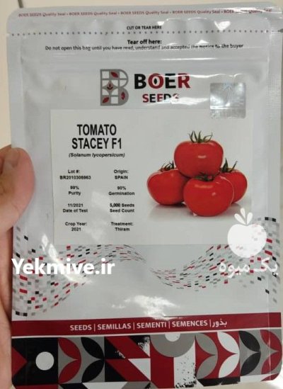 بذر گوجه فرنگی هیبرید استیسی در کرج در گروه خرید و فروش بذر گوجه در یکمیوه -عکس1