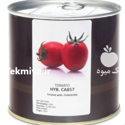 بذر گوجه فرنگی کانیون کا 857 در کرج در گروه خرید و فروش بذر گوجه در یکمیوه -عکس1