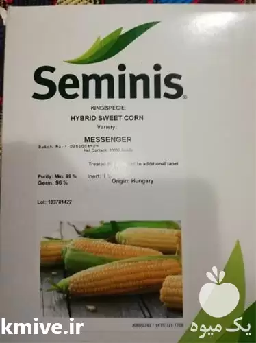 فروش بذر ذرت شیرین مسنجر در تهران در گروه خرید و فروش بذر ذرت در یکمیوه -عکس1