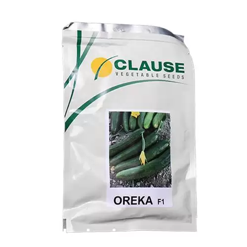 قیمت خرید و قیمت بذر اورکا در کرمان  در گروه خرید و فروش بذر خیار در یکمیوه -عکس1