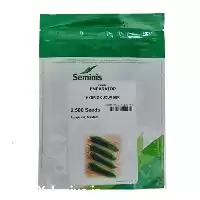 قیمت خرید تهیه بذر خیار هیبرید در کرمانشاه در گروه خرید و فروش بذر خیار در یکمیوه