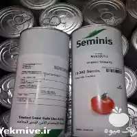 قیمت خرید بذر گوجه فرنگی رقم در یزد در گروه خرید و فروش بذر گوجه در یکمیوه