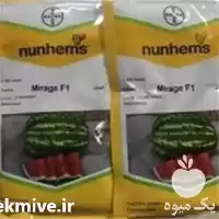 قیمت خرید بذر هندوانه میراژ مناسب در سنندج در گروه خرید و فروش بذر خیار در یکمیوه