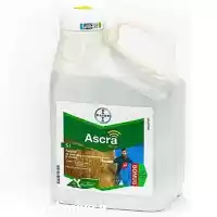 قیمت خرید سم Ascra بایر آلمان در تبریز در گروه خرید و فروش قارچ در یکمیوه