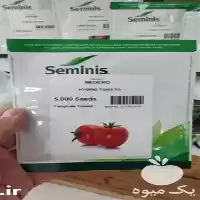 فروش بذر گوجه فرنگی بدرو در گروه خرید و فروش بذر گوجه در یکمیوه