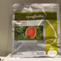 فروش بذر هندوانه با دارا بودن در بوشهر در گروه خرید و فروش بذر هندوانه در یکمیوه