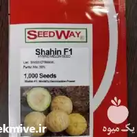 فروش قیمت بذر ملون شاهپسند در شیراز در گروه خرید و فروش بذر ملون در یکمیوه