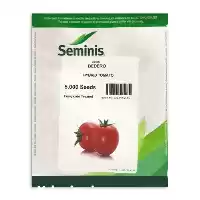 قیمت خرید عرضه بذر گوجه بدرو در تهران در گروه خرید و فروش بذر گوجه در یکمیوه