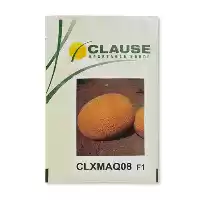 قیمت خرید عرضه بذر خربزه آناناسی در بیرجند در گروه خرید و فروش بذر خربزه در یکمیوه