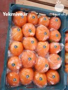 قیمت نارنج صادراتی در جهرم در داراب در گروه واردات و صادرات در یکمیوه