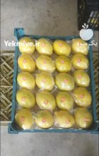 خرید لیمو سنگی صادرات مشخصات لیمو در گروه واردات و صادرات در یکمیوه