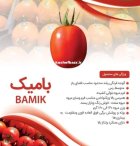 بذر گوجه فرنگی هیبرید بامیک در کرج در گروه خرید و فروش بذر گوجه در یکمیوه