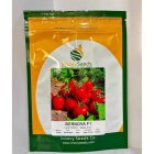 بذر گوجه فرنگی برنووا ایتالیا در کرج در گروه خرید و فروش بذر گوجه در یکمیوه