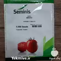 قیمت خرید بذر گوجه فرنگی بریویو در گروه خرید و فروش بذر گوجه در یکمیوه