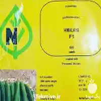 فروش بذر خیار هیمالیا در شیراز در گروه خرید و فروش بذر خیار در یکمیوه
