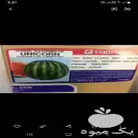 قیمت خرید بذر هندوانه یونی کورن در زاهدان در گروه خرید و فروش بذر هندوانه در یکمیوه