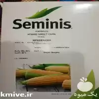 فروش بذر ذرت شیرین مسنجر در تهران در گروه خرید و فروش بذر ذرت در یکمیوه