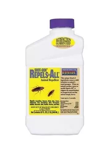 فروش سم سوسک کش تخصصی ریپلزال در اهواز در گروه خرید و فروش انواع سم در یکمیوه -عکس1