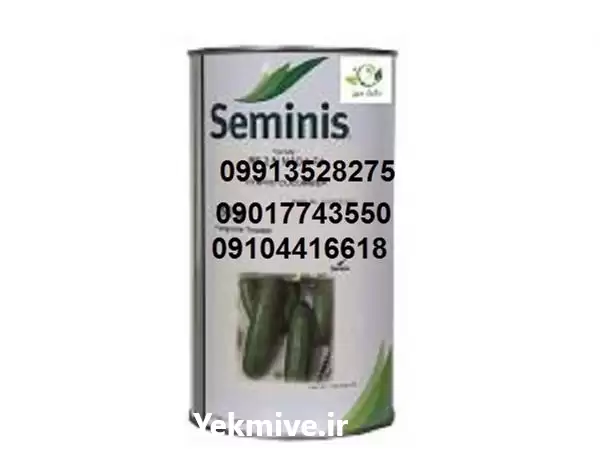 قیمت خرید بذر خیار ویلمورین در شیراز در گروه خرید و فروش بذر خیار در یکمیوه -عکس1