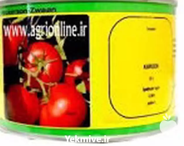 فروش بذر گوجه سهند در کرج در گروه خرید و فروش بذر گوجه در یکمیوه -عکس1